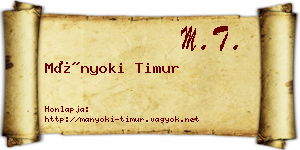 Mányoki Timur névjegykártya